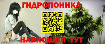 ALPHA PVP Аргун