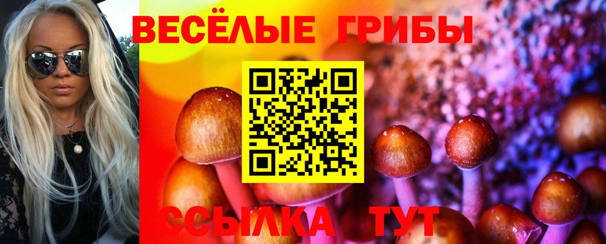Галлюциногенные грибы MAGIC MUSHROOMS Карасук