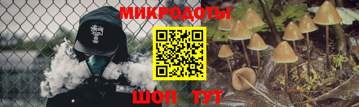 Псилоцибиновые грибы MAGIC MUSHROOMS  Карасук 